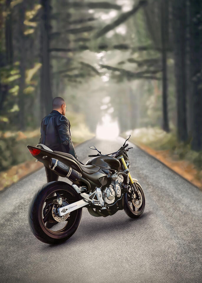 Honda Hornet Portrait lavandearts